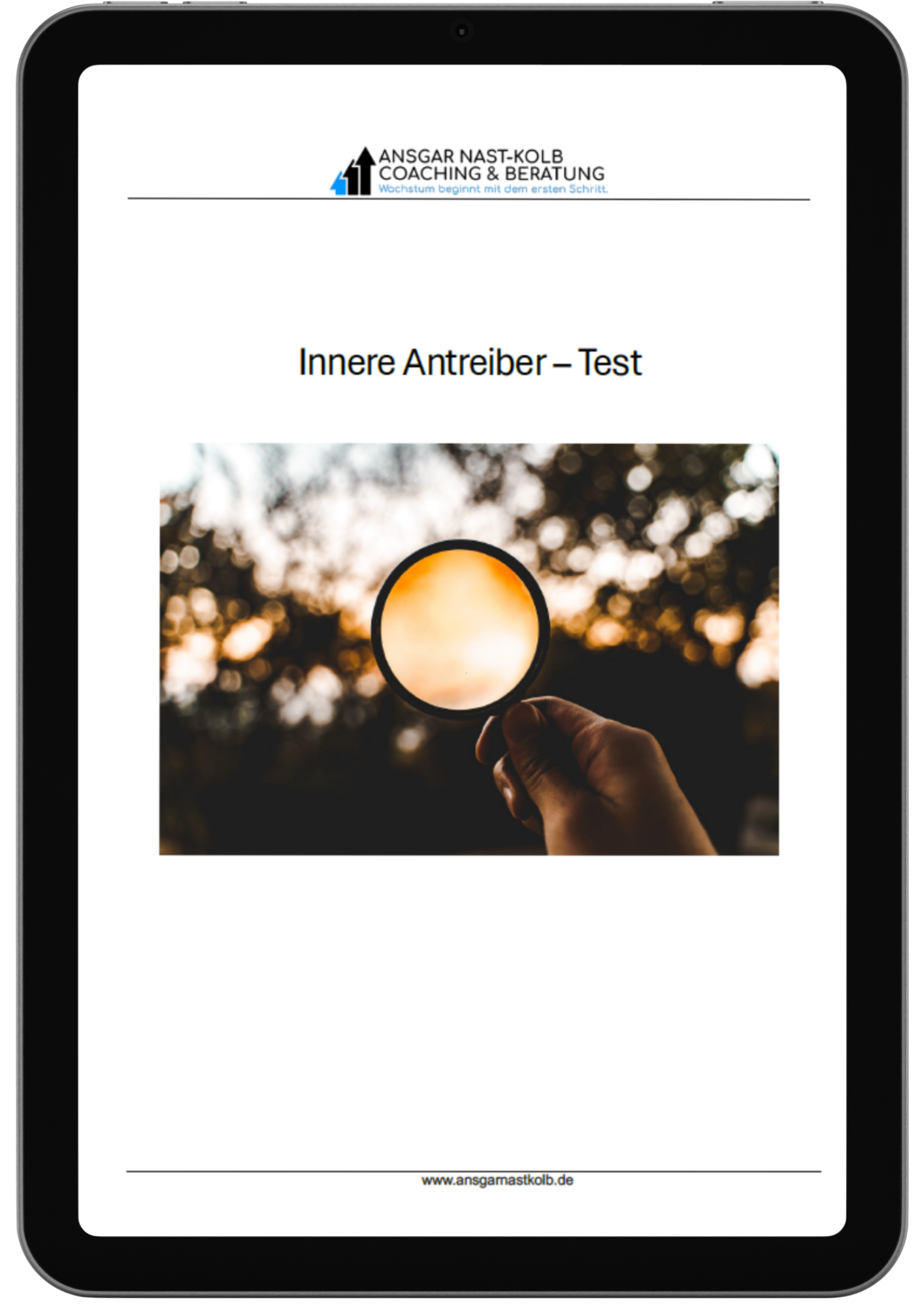 Antreiber-Test_mockup